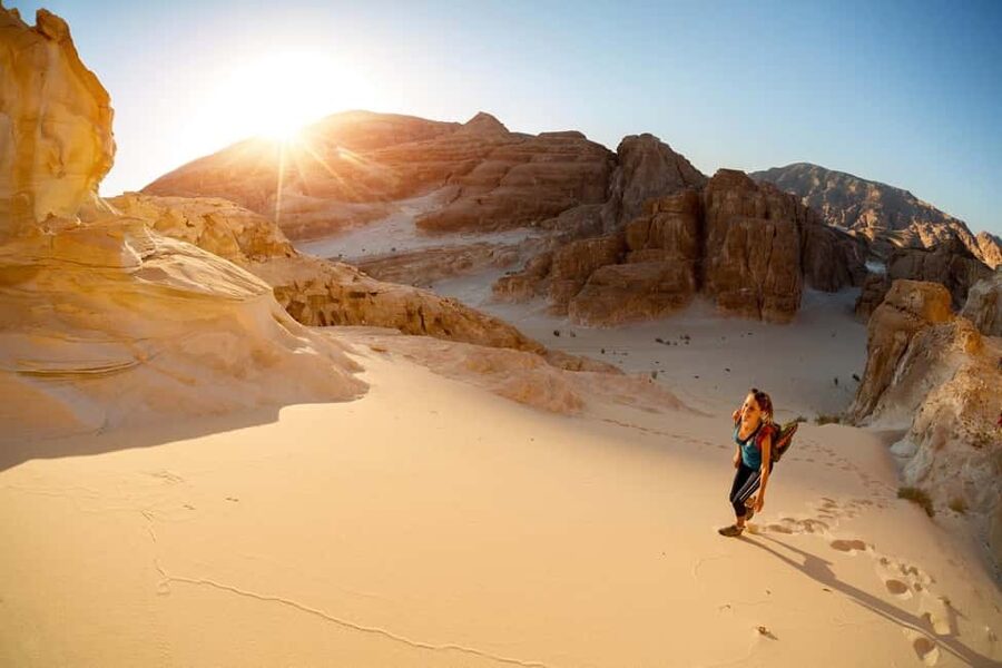 Marsa Alam Bedouin Nights: Jeep Safari, Dinner & Stargazing - Telescope stargazing after dark
