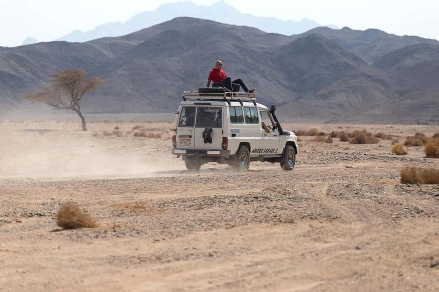 Marsa Alam Bedouin Nights: Jeep Safari, Dinner & Stargazing - Who should choose this desert night?
