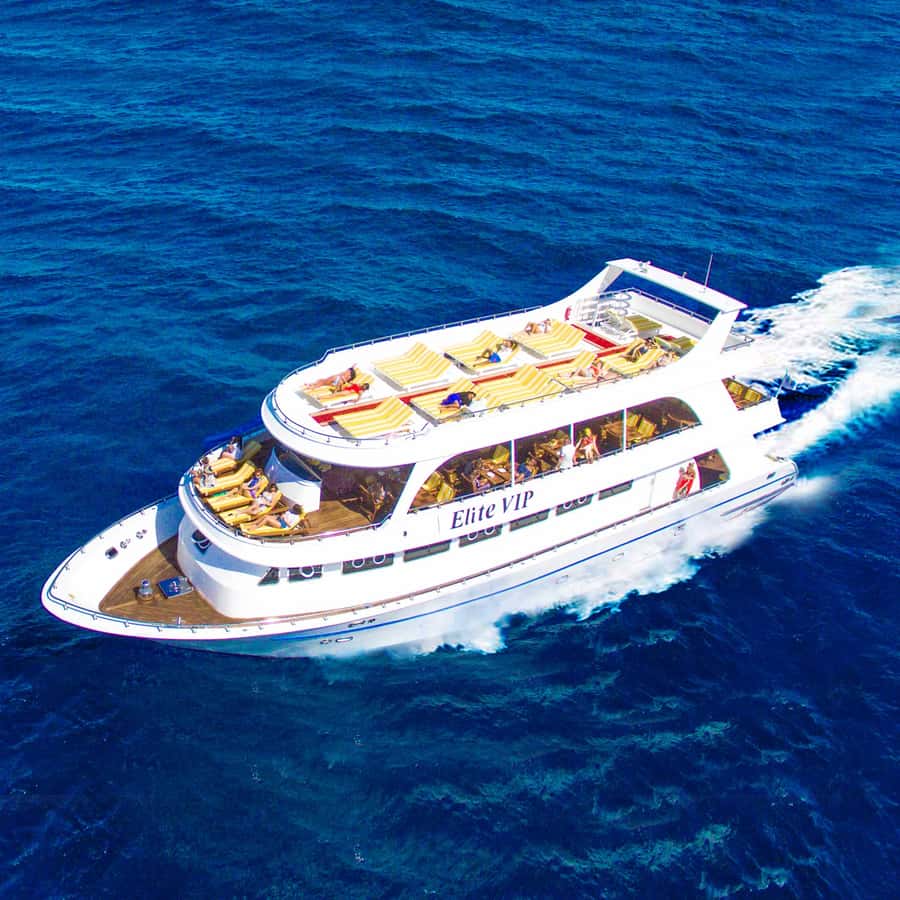 Marsa Alam: Elite vip Turtle bay snorkeling with BBQ Lunch - Getting from your hotel to Port Ghalib