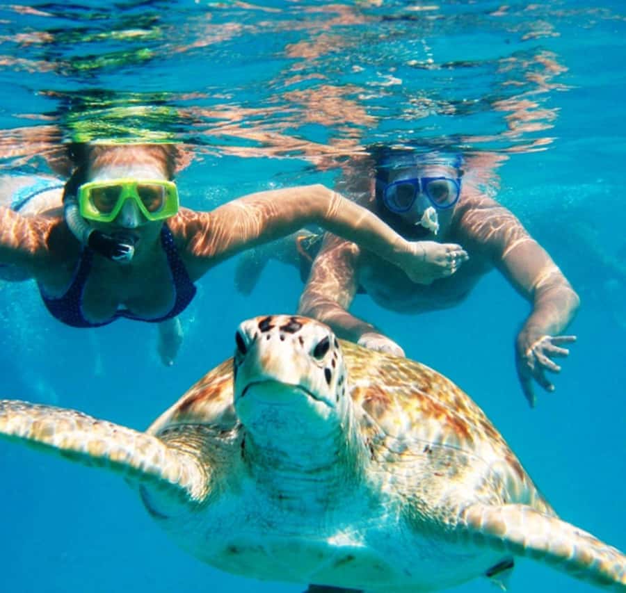 Marsa Alam: Pirates Premium Boat to turtle bay with lunch - Marsa Mubarak, the turtle stop