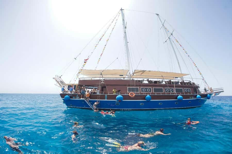 Marsa Alam: Pirates Premium Boat to turtle bay with lunch - Guides, languages, and safety