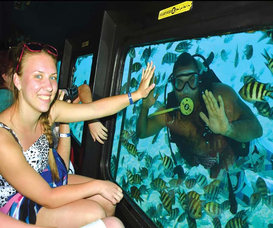 Marsa Alam: Royal Seascope Submarine Cruise with Pickup - Why the reef setting matters