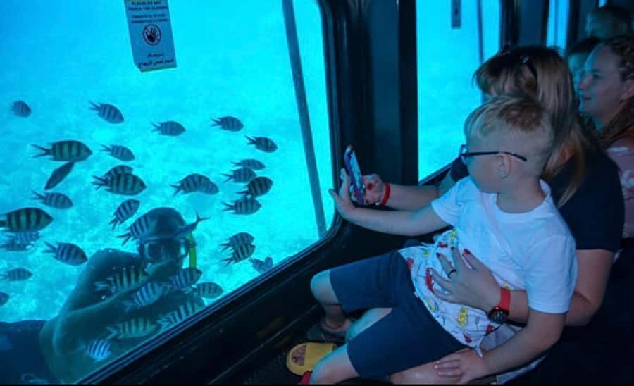 Marsa Alam: Royal Seascope Submarine Cruise with Pickup - Is $59 good value?