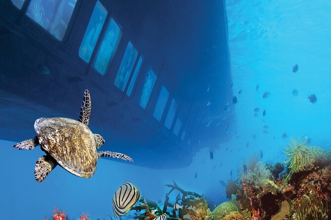 Marsa Alam: Royal Seascope Submarine Cruise with Pickup - The 25-minute cruise from Port Ghalib