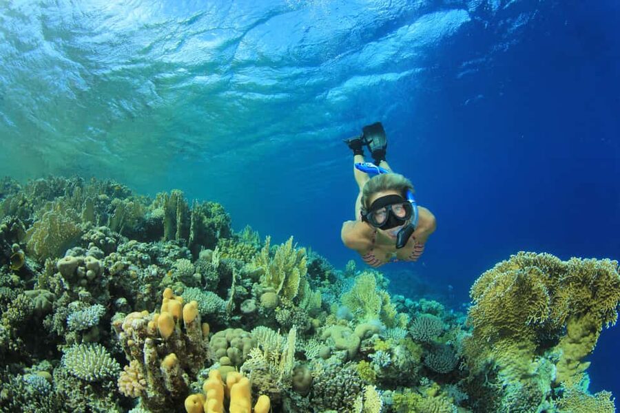 Marsa Alam:Sataya Reefs Dolphin Snorkeling Cruise with Lunch - The boat ride across the Red Sea