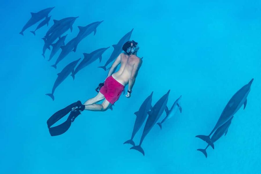 Marsa Alam:Sataya Reefs Dolphin Snorkeling Cruise with Lunch - Arriving at Dolphin House