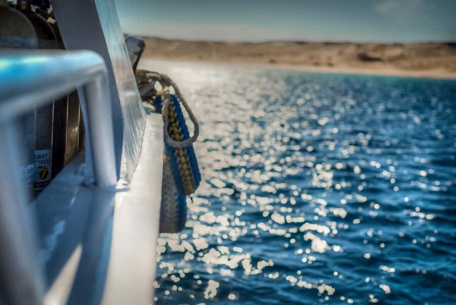 Marsa Alam:Sataya Reefs Dolphin Snorkeling Cruise with Lunch - How much value do you get for $90?
