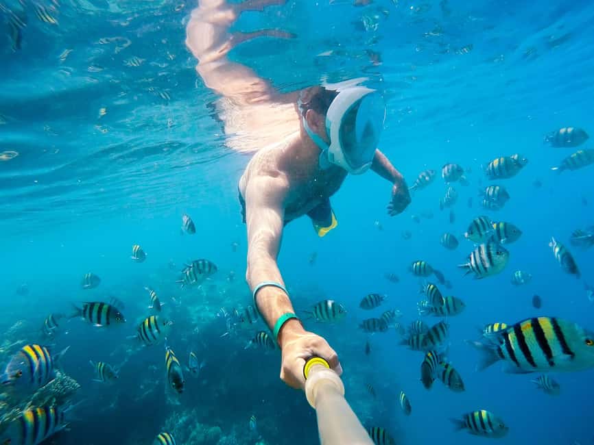 Marsa Alam:Sataya Reefs Dolphin Snorkeling Cruise with Lunch - The Marsa Alam pickup and the road to the marina