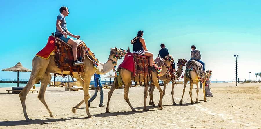 Marsa Alam: Sea and Desert Camel Riding Tour - Key points at a glance