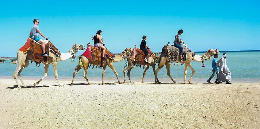Marsa Alam: Sea and Desert Camel Riding Tour - From the stable to the Red Sea shore