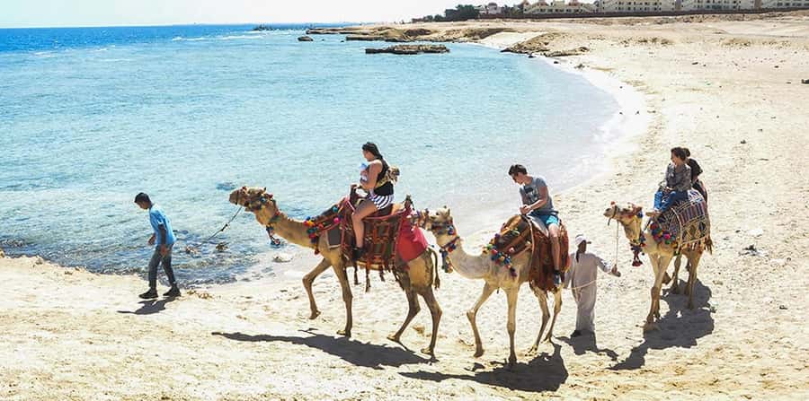 Marsa Alam: Sea and Desert Camel Riding Tour - Where sand meets the Red Sea