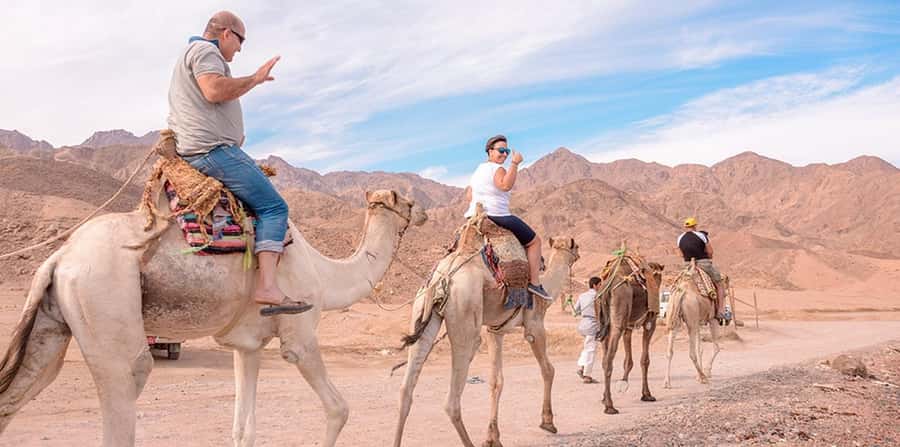 Marsa Alam: Sea and Desert Camel Riding Tour - Hotel pickup from Marsa Alam’s main resort areas