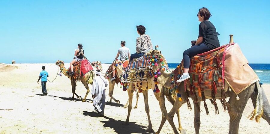 Marsa Alam: Sea and Desert Camel Riding Tour - Who will enjoy this ride most