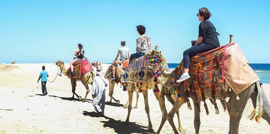 Marsa Alam: Sea and Desert Camel Riding Tour - Small details that improve the day