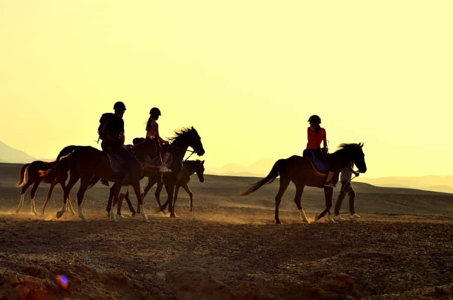 Marsa Alam: Sea and Desert Horse Riding Tour - Key points to know before booking
