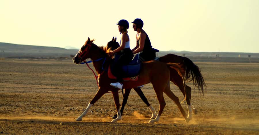 Marsa Alam: Sea and Desert Horse Riding Tour - From the Marsa Alam stable to the Red Sea