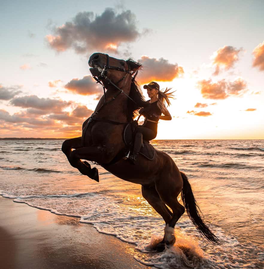 Marsa Alam: Sea and Desert Horse Riding Tour - The four-hour VIP ride and sea swim
