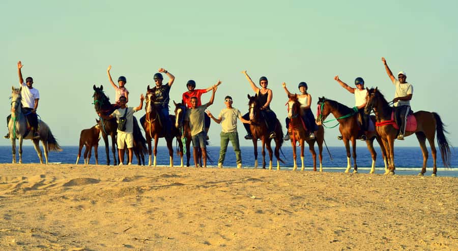 Marsa Alam: Sea and Desert Horse Riding Tour - Sunrise, afternoon, or sunset?