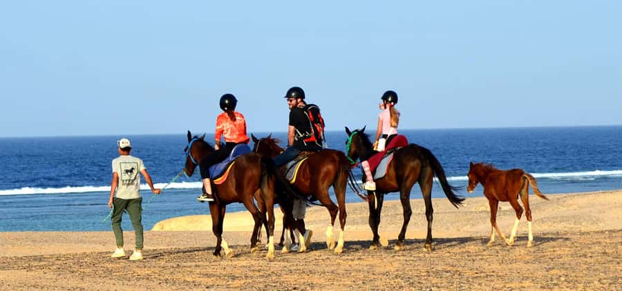 Marsa Alam: Sea and Desert Horse Riding Tour - Horses, guides, and comfort for first-time riders