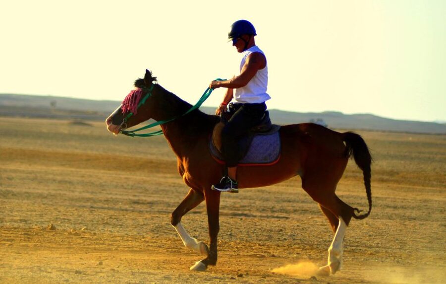Marsa Alam: Sea and Desert Horse Riding Tour - What the route feels like in practice