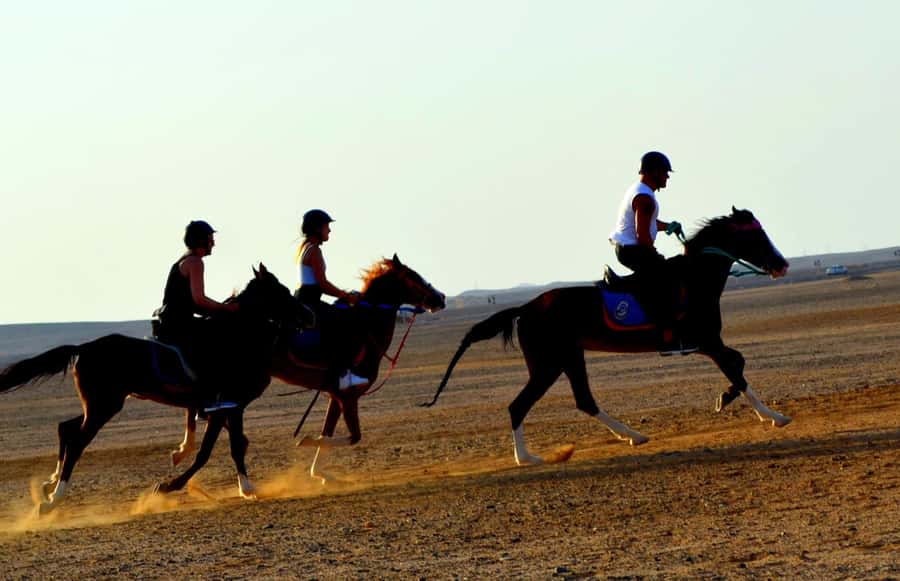 Marsa Alam: Sea and Desert Horse Riding Tour - Price and practical value at $33