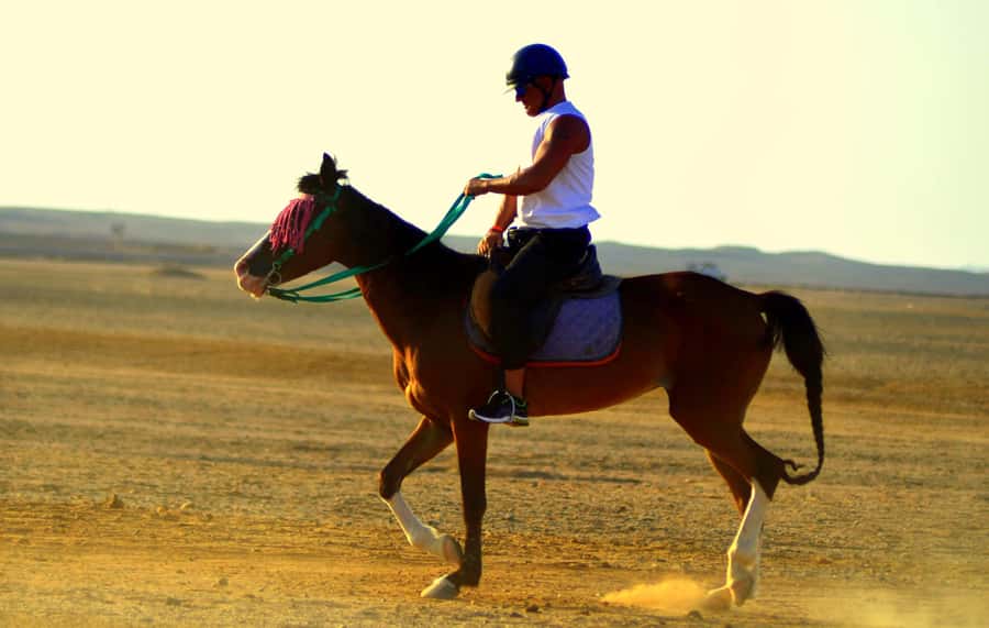 Marsa Alam: Sea and Desert Horse Riding Tour - What to wear and what to leave behind