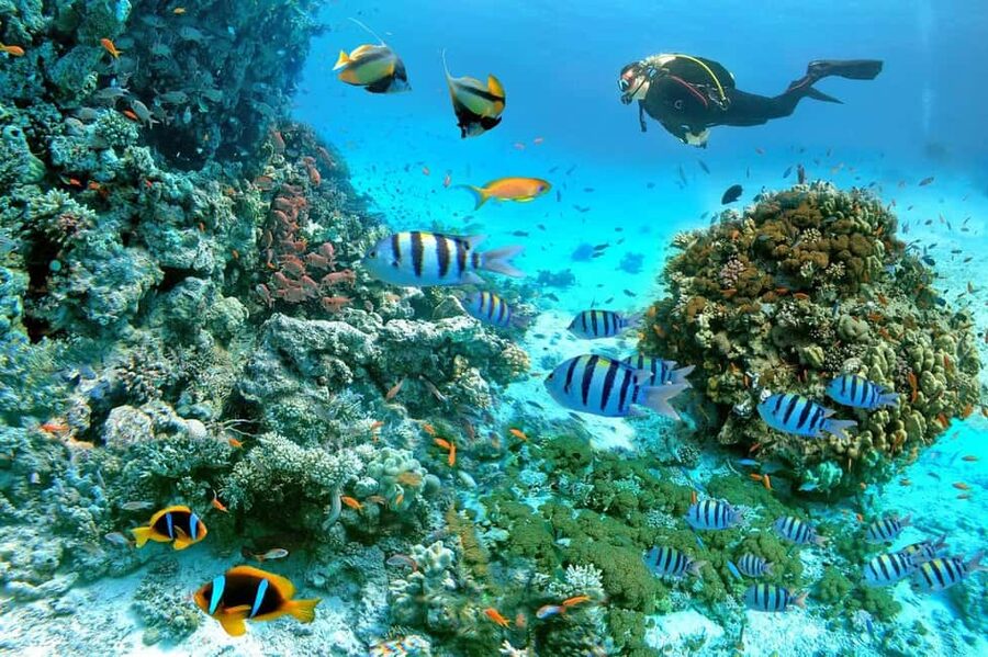 Marsa Alam: Snorkeling with Sea Turtles Marsa Mubarak - Sailing toward the Marsa Mubarak reef
