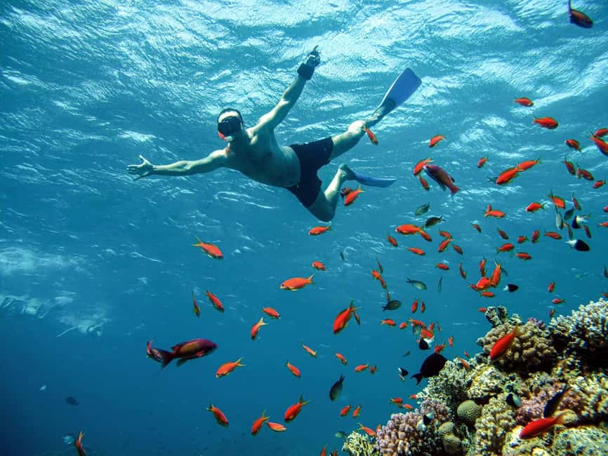 Marsa Alam: Snorkeling with Sea Turtles Marsa Mubarak - Who will enjoy this trip most