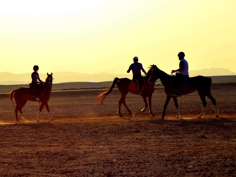Marsa Alam: Sunrise Horseback with Breakfast - Following the desert tracks toward the Red Sea