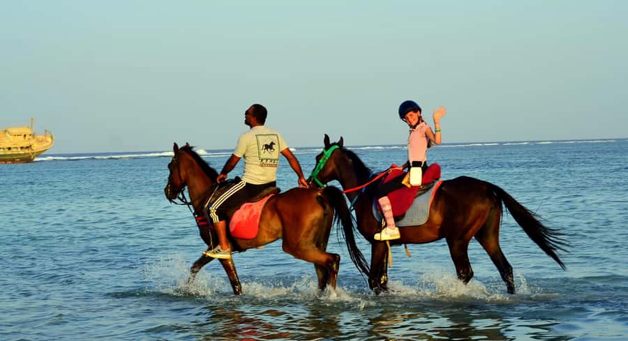 Marsa Alam: Sunrise Horseback with Breakfast - Choosing your pickup area in Marsa Alam