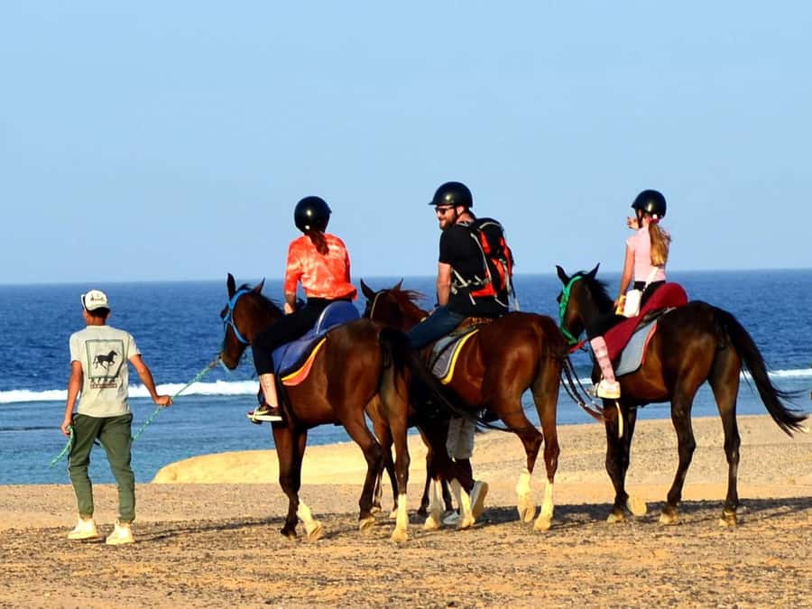 Marsa Alam: Sunrise Horseback with Breakfast - What the horses and guides mean for beginners