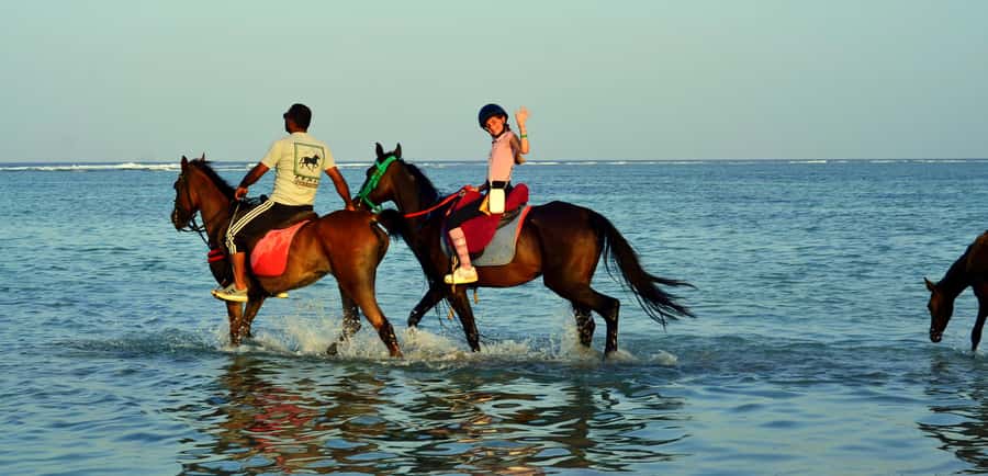 Marsa Alam: Sunrise Horseback with Breakfast - Price, duration, and overall value