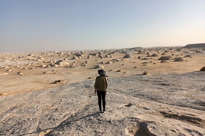 Marvel 10 Day to Giza Pyramids ,White desert ,Nile Cruise & Hotel - Kom Ombo and Edfu by river