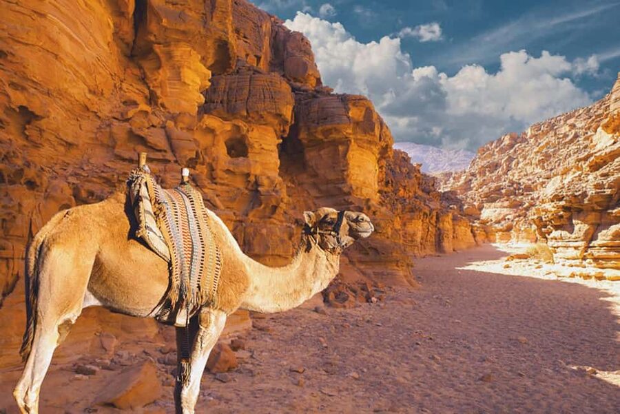 Moses Mountain & Saint Catherine from Dahab - Should you book the Mount Sinai sunrise trip?