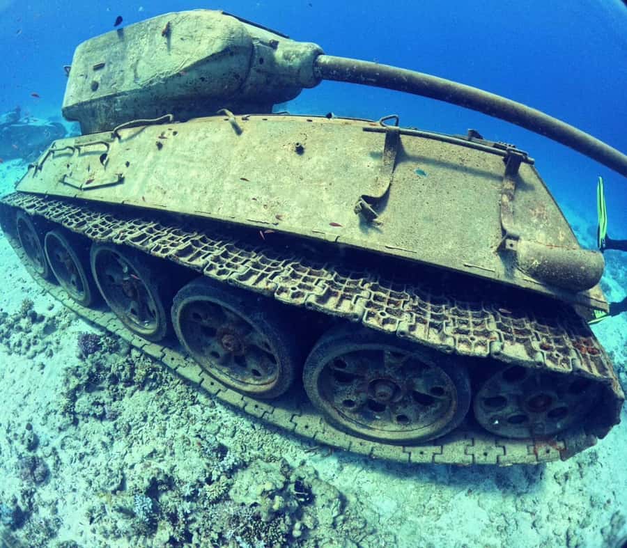 Museum Diving Experience in the Red Sea - Key points to know before booking