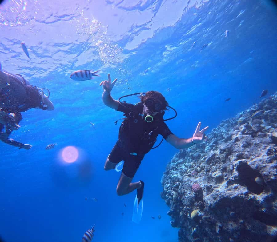 Museum Diving Experience in the Red Sea - Who should book this Red Sea scuba outing