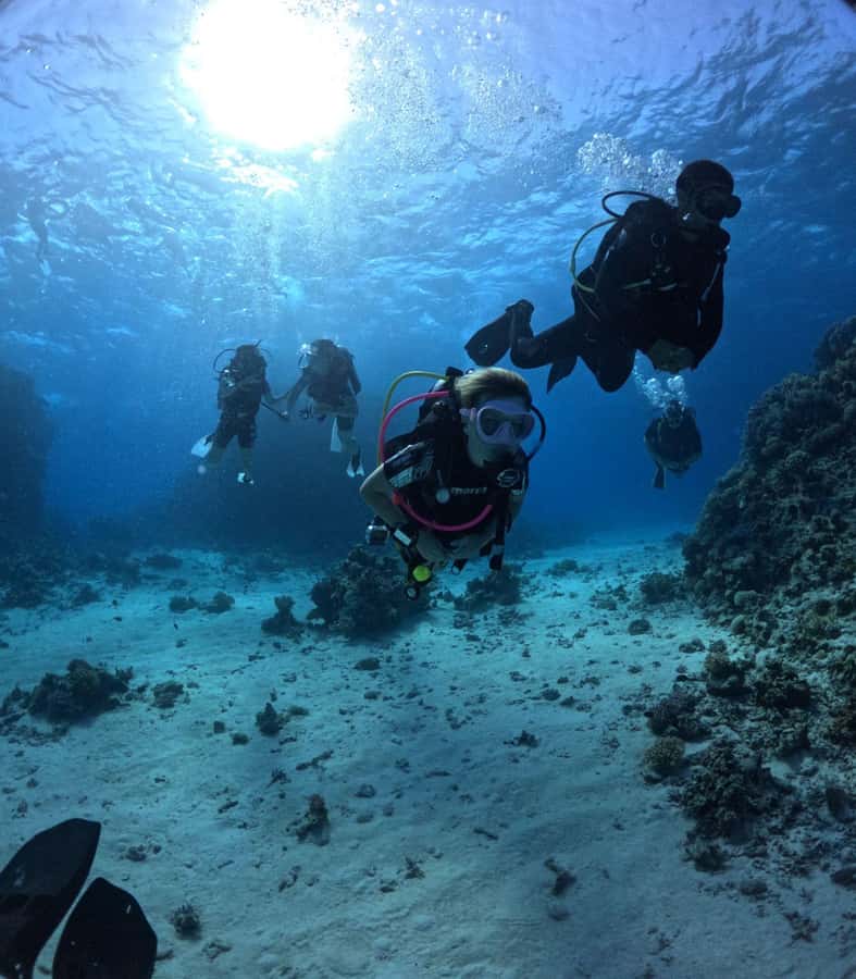 Museum Diving Experience in the Red Sea - The first two-hour underwater visit
