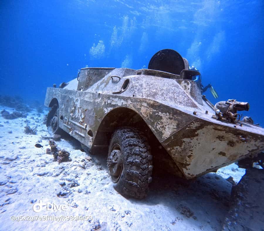 Museum Diving Experience in the Red Sea - Lunch and the break between sessions