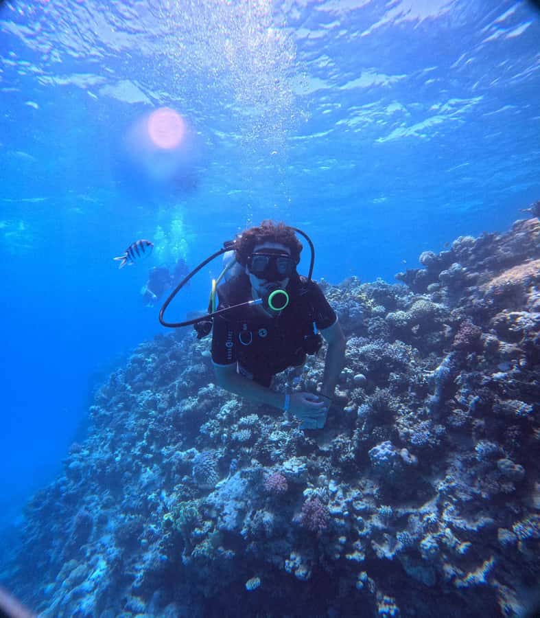 Museum Diving Experience in the Red Sea - The second two-hour visit near the Red Sea