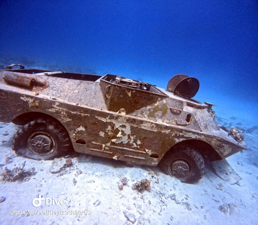 Museum Diving Experience in the Red Sea - The return trip and what the seven hours really means