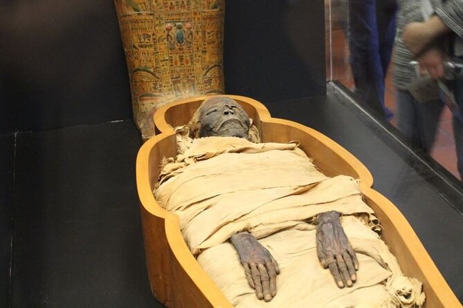 National Museum of Egyptian Civilization Private Guided Tour - The Gallery of Royal Mummies