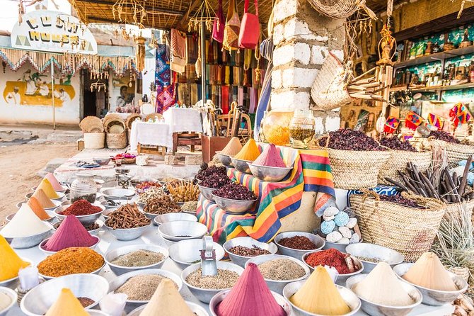 Nubian Village by Motorboat In Aswan - Private tour, group size, and pace