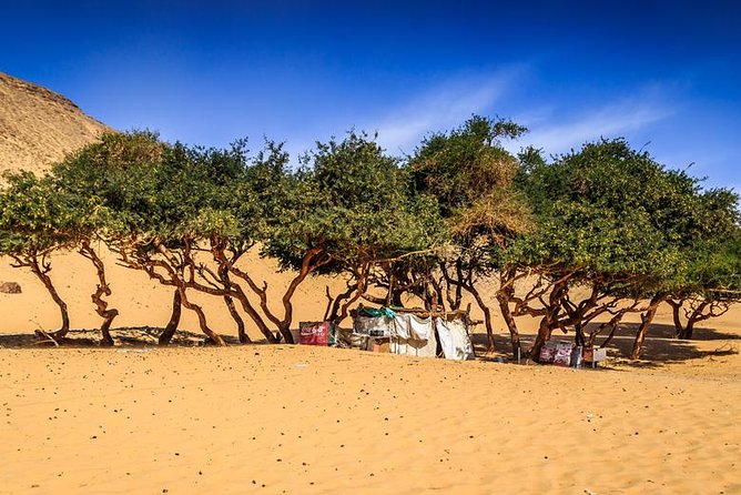 Nubian Village by Motorboat In Aswan - Is $42 a fair price?