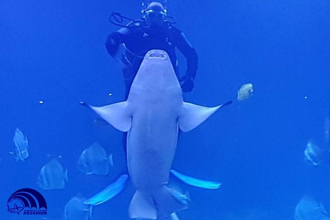 Official Account: Hurghada Grand Aquarium Entrance Tickets - What a visit to Hurghada Grand Aquarium is really like