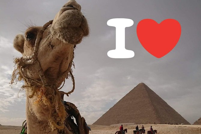 One Package Camel Ride with Giza Pyramids and Egyptian Museum Tour in Cairo - The Egyptian Museum for a change of pace