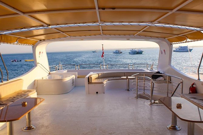 Orange Bay Island - Snorkeling at one or two Red Sea sites