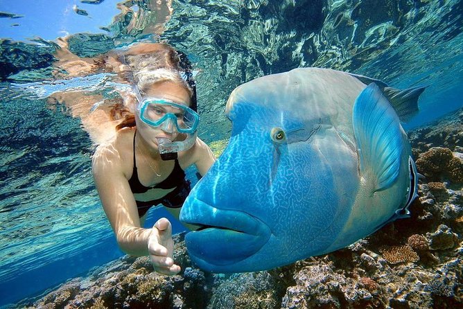 Orange Bay Island Snorkeling Trip With Water Sports - Hurghada - Who will enjoy this Hurghada boat trip?