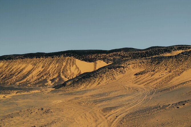 Overnight Safari Trip To Bahariya & White Desert - Sand Boarding in the Open Desert