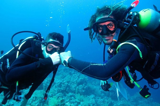 PADI Open Water Diver Course - Key points to know before booking