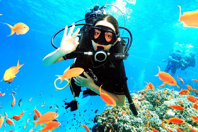 PADI Open Water Diver Course - What you are really buying for $411.31
